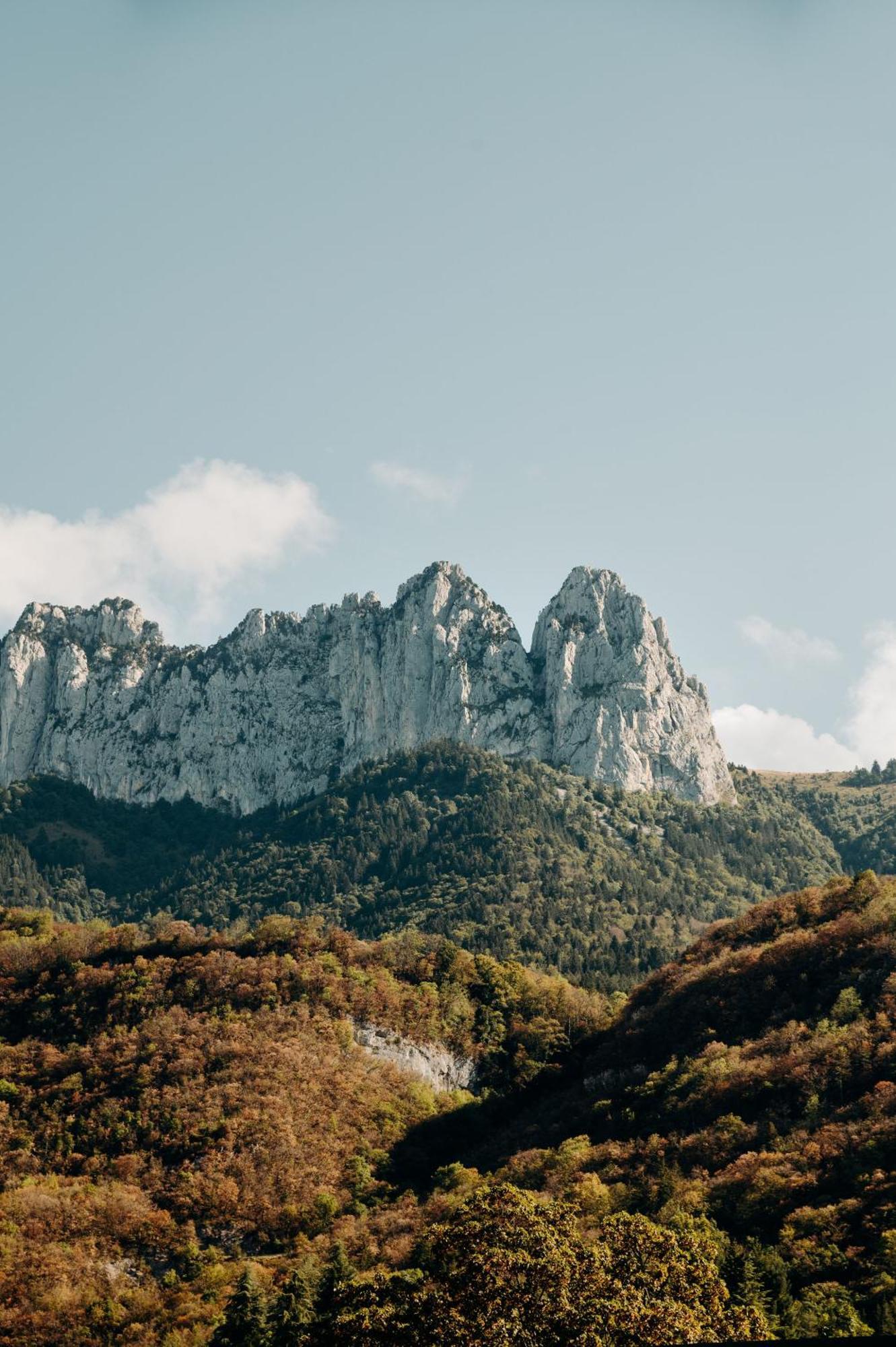 Hotel Le Cottage Bise Talloires Zewnętrze zdjęcie